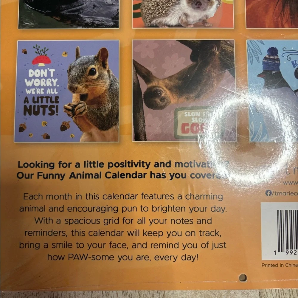 Funny Animals 2026 Wall Calendar